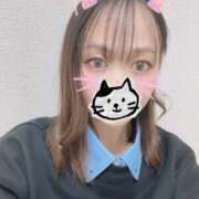 ヒメ日記 2025/12/14 12:04 投稿 猫 お客様満足度NO.1デリヘル！ 秘密倶楽部 凛 千葉