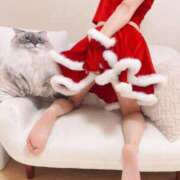 ヒメ日記 2025/12/23 08:01 投稿 猫 お客様満足度NO.1デリヘル！ 秘密倶楽部 凛 千葉