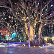 ヒメ日記 2025/12/25 21:52 投稿 猫 お客様満足度NO.1デリヘル！ 秘密倶楽部 凛 千葉