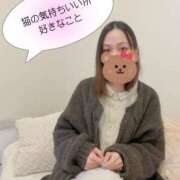 猫 猫ちゃん取説 お客様満足度NO.1デリヘル！ 秘密倶楽部 凛 千葉