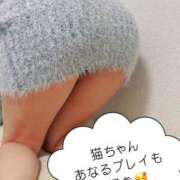 ヒメ日記 2026/02/11 17:01 投稿 猫 お客様満足度NO.1デリヘル！ 秘密倶楽部 凛 千葉