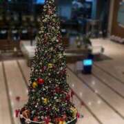 ヒメ日記 2025/11/17 20:12 投稿 かこ【S級美女との至福時間】 STELLA TOKYO－ステラトウキョウ－