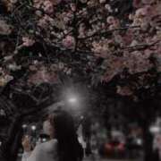 ヒメ日記 2026/03/07 11:42 投稿 かこ【S級美女との至福時間】 STELLA TOKYO－ステラトウキョウ－