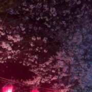 ヒメ日記 2026/03/28 20:58 投稿 かこ【S級美女との至福時間】 STELLA TOKYO－ステラトウキョウ－