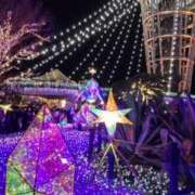 ヒメ日記 2025/12/26 12:03 投稿 もね 横浜風俗 横浜いきなりビンビン伝説