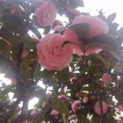 もね 大胆になれる秘密🤫 横浜風俗 横浜いきなりビンビン伝説