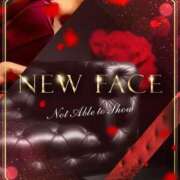 Tina【ティナ】 🌷11/2 初出勤の日(∩ˊ꒳ˋ∩)🌷 club MARIA(大阪)