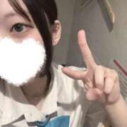 のあ しゅっきん🦖🐾 アイドルドリーム