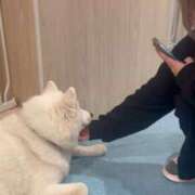 ヒメ日記 2026/01/09 10:03 投稿 りのあ 最高峰な変態ちゃん L＆Jブラザーズ