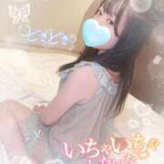 ヒメ日記 2025/11/04 21:35 投稿 るみ♡極上SPコース♡ PANTHER（パンサー）