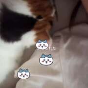 ヒメ日記 2025/11/01 23:04 投稿 ちか　最高の笑顔と幸せを運ぶ天使 今ドキ マットMAX