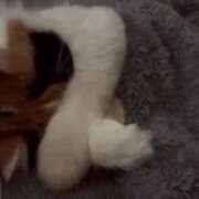 ヒメ日記 2025/11/04 03:05 投稿 ちか　最高の笑顔と幸せを運ぶ天使 今ドキ マットMAX