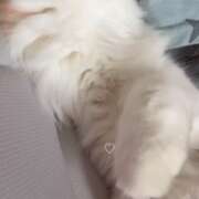 ヒメ日記 2025/11/19 06:51 投稿 ちか　最高の笑顔と幸せを運ぶ天使 今ドキ マットMAX