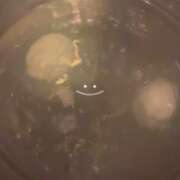 ヒメ日記 2026/02/23 18:18 投稿 ちか　最高の笑顔と幸せを運ぶ天使 今ドキ マットMAX