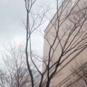 ヒメ日記 2026/01/24 08:07 投稿 みゆう　魅惑の極上美女♡ 今ドキ マットMAX