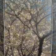 ヒメ日記 2026/03/28 17:42 投稿 みゆう　魅惑の極上美女♡ 今ドキ マットMAX