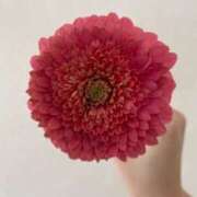 紫月あおい 初めての♡ 西船橋快楽Ｍ性感倶楽部～前立腺マッサージ専門～