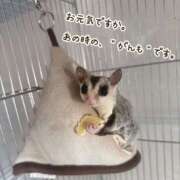 ヒメ日記 2025/11/15 12:01 投稿 穂の香-KINDAN- KINDAN-禁断-