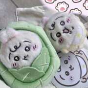 ヒメ日記 2025/11/04 10:00 投稿 ひめ はちみつ