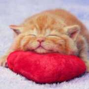 ヒメ日記 2026/02/06 16:38 投稿 かおる エレガンス(広島)