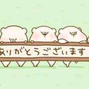 ヒメ日記 2026/03/12 21:20 投稿 かおる エレガンス(広島)