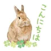ヒメ日記 2026/04/03 13:18 投稿 かおる エレガンス(広島)