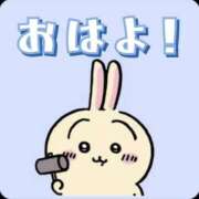 ヒメ日記 2026/07/31 08:03 投稿 かおる エレガンス(広島)