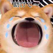 ヒメ日記 2026/01/22 03:08 投稿 くれは エレガンス(広島)