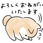 ヒメ日記 2026/04/27 10:18 投稿 くれは エレガンス(広島)