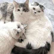 ヒメ日記 2025/12/31 22:23 投稿 ☆桜子【サクラコ】☆ ピンクコレクション大阪キタ店