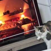 ヒメ日記 2026/01/06 18:39 投稿 ☆桜子【サクラコ】☆ ピンクコレクション大阪キタ店