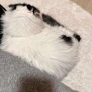 ヒメ日記 2025/11/21 22:21 投稿 ☆桜子【サクラコ】☆ ピンクコレクション大阪