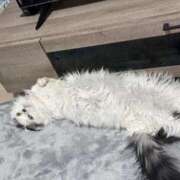 ヒメ日記 2025/11/29 23:11 投稿 ☆桜子【サクラコ】☆ ピンクコレクション大阪