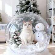 ヒメ日記 2025/12/08 18:21 投稿 ☆桜子【サクラコ】☆ ピンクコレクション大阪