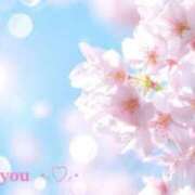 ヒメ日記 2025/12/12 07:37 投稿 ☆桜子【サクラコ】☆ ピンクコレクション大阪