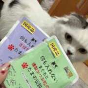 ヒメ日記 2025/12/13 20:54 投稿 ☆桜子【サクラコ】☆ ピンクコレクション大阪