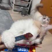 ヒメ日記 2025/12/13 21:21 投稿 ☆桜子【サクラコ】☆ ピンクコレクション大阪