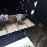 ☆桜子【サクラコ】☆ コツコツと✍️ ピンクコレクション大阪