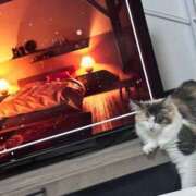 ☆桜子【サクラコ】☆ 出勤🌙*ﾟ ピンクコレクション大阪