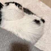 ヒメ日記 2025/11/21 22:32 投稿 ☆桜子【サクラコ】☆ ピンクコレクション尼崎店