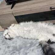 ヒメ日記 2025/11/29 23:15 投稿 ☆桜子【サクラコ】☆ ピンクコレクション尼崎店