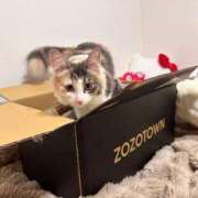 ☆桜子【サクラコ】☆ 📦🐈‍⬛ ピンクコレクション尼崎店