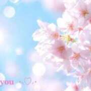 ヒメ日記 2025/12/12 07:38 投稿 ☆桜子【サクラコ】☆ ピンクコレクション尼崎店