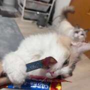 ヒメ日記 2025/12/13 21:17 投稿 ☆桜子【サクラコ】☆ ピンクコレクション尼崎店