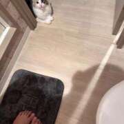 ヒメ日記 2025/12/20 10:02 投稿 ☆桜子【サクラコ】☆ ピンクコレクション尼崎店