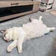 ヒメ日記 2026/01/10 22:42 投稿 ☆桜子【サクラコ】☆ ピンクコレクション尼崎店