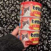 ☆桜子【サクラコ】☆ 猫缶🐈🤍 ピンクコレクション尼崎店