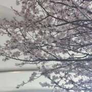 ☆桜子【サクラコ】☆ 一足先に🌸 ピンクコレクション尼崎店