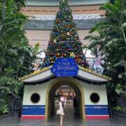 ヒメ日記 2026/02/12 21:49 投稿 咲真みく お姉さんCLUB