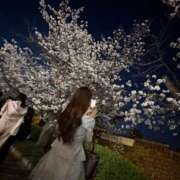 ヒメ日記 2026/04/21 20:19 投稿 咲真みく お姉さんCLUB